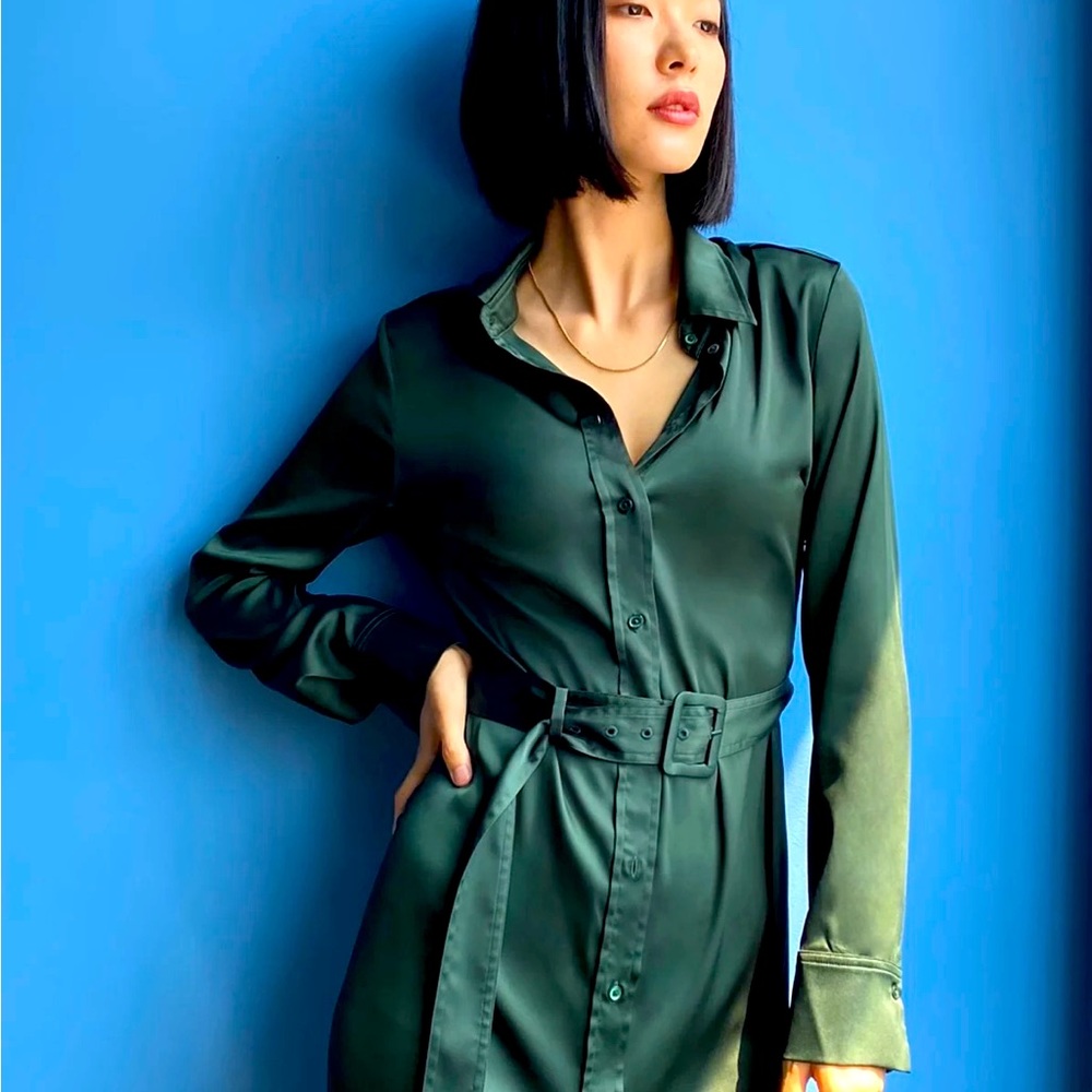 Satin Aritzia Babaton dress